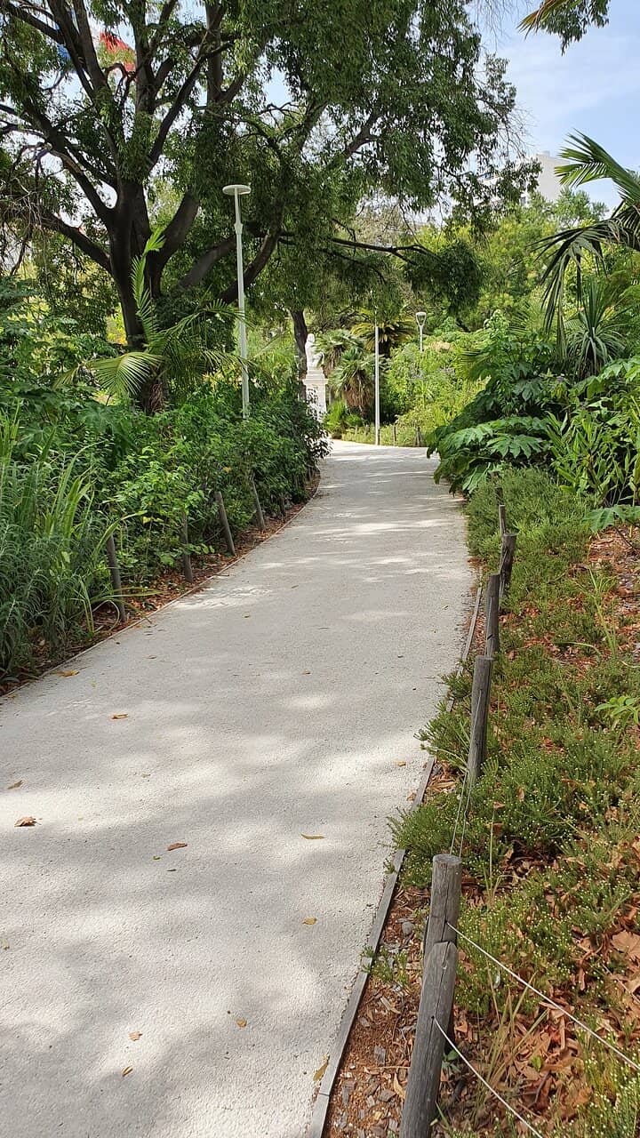 Kids' Play Area