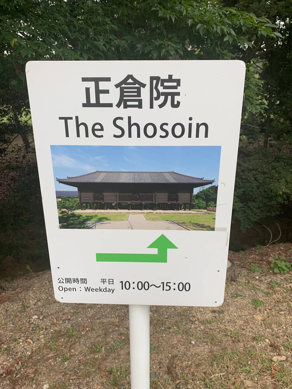 Tang Dynasty Pipa Inspiration