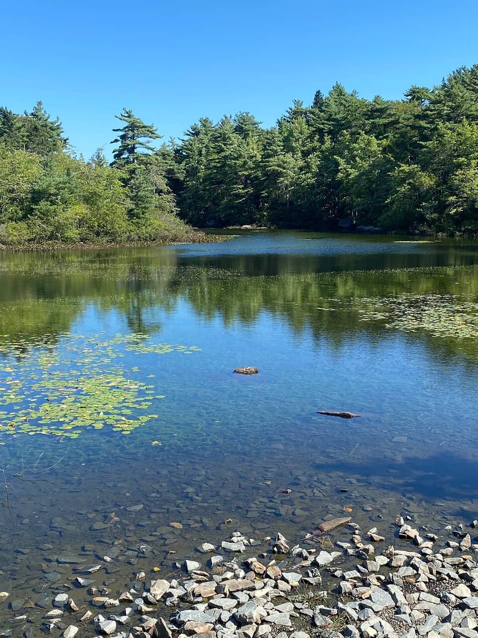 Scenic Walking Trails