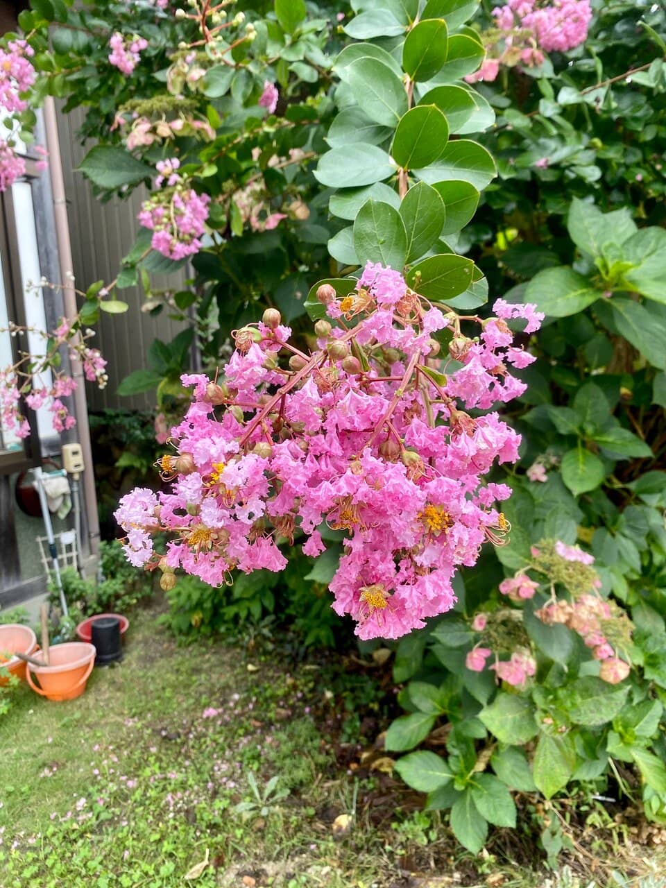 Local Crafts and Eateries