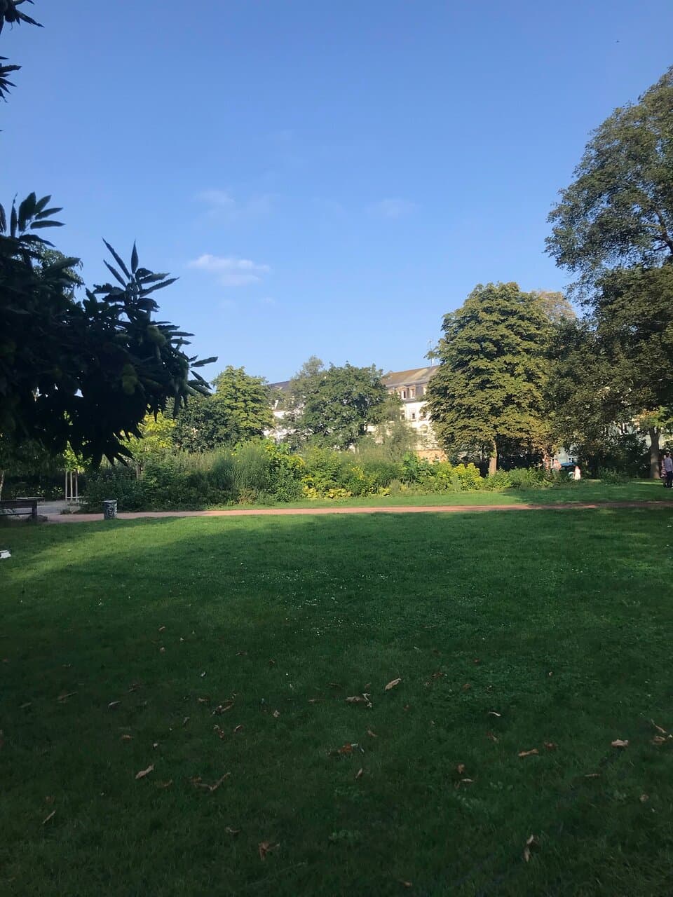 Alaunpark