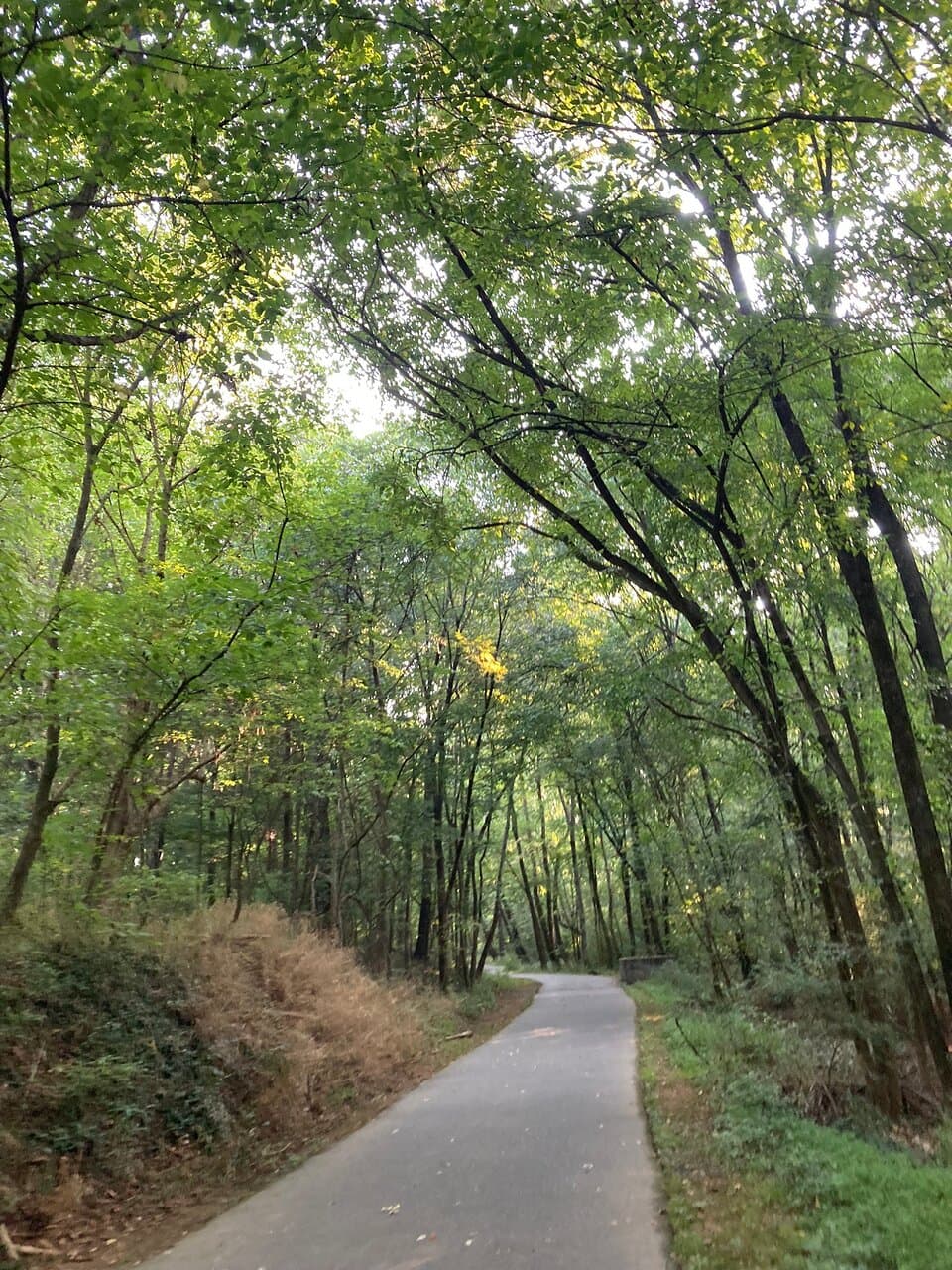 McMullen Creek Greenway