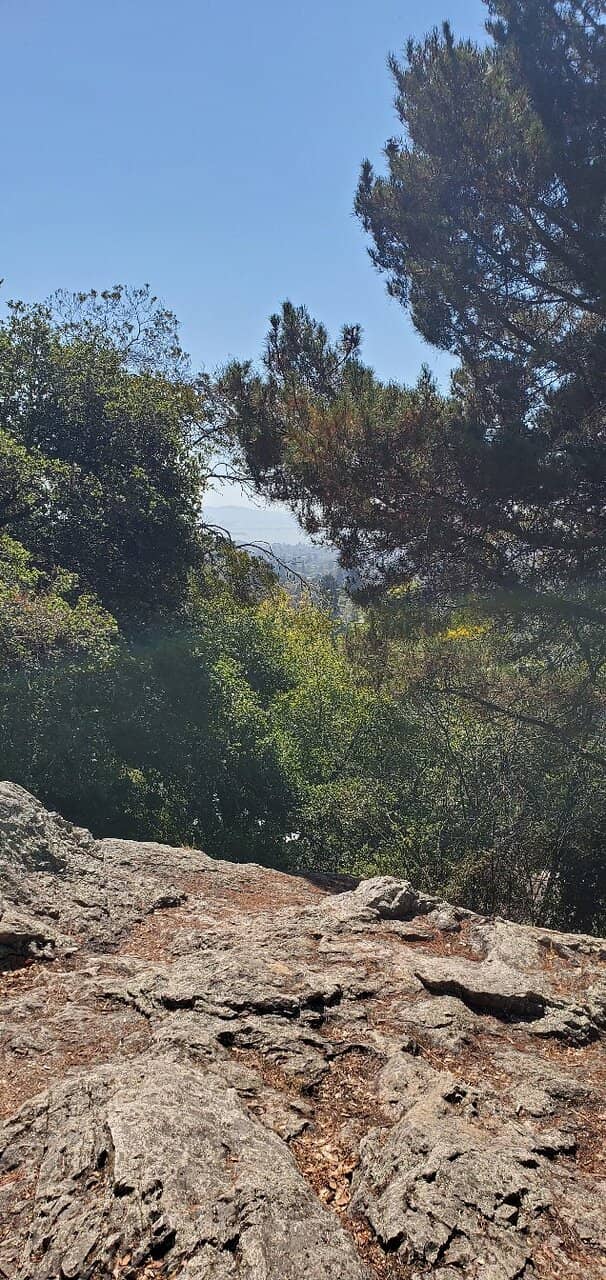 Vertical photo