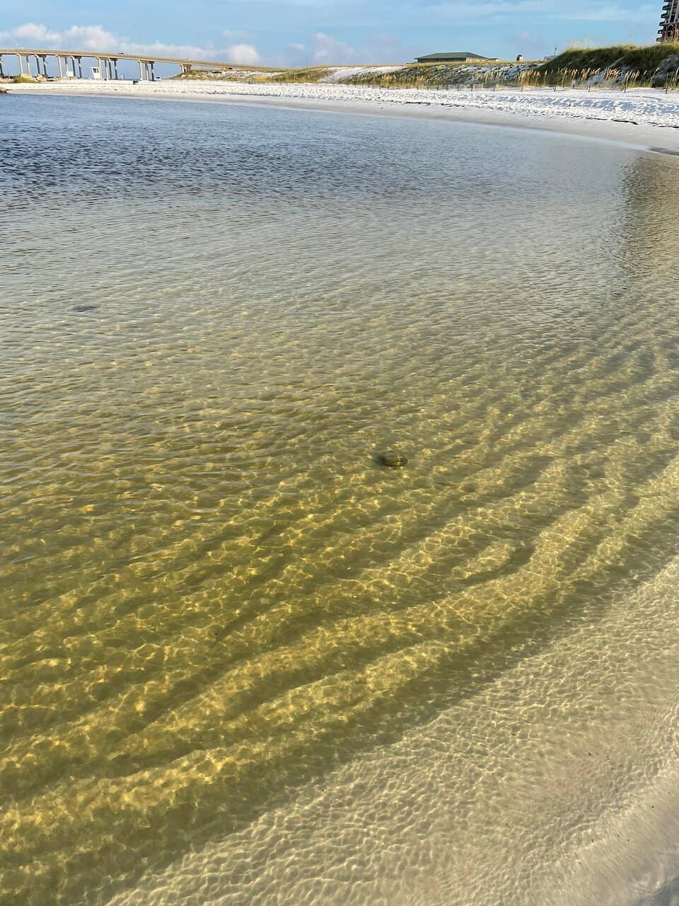 Tide Pool Adventures