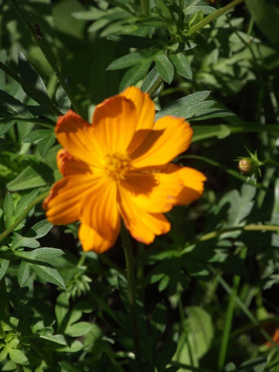 Harbor Islands Vista