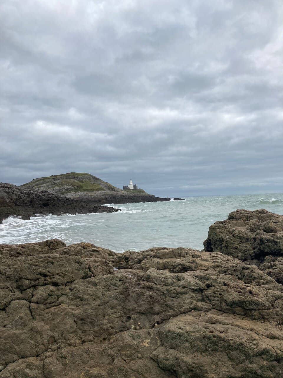 Rockpooling Adventures