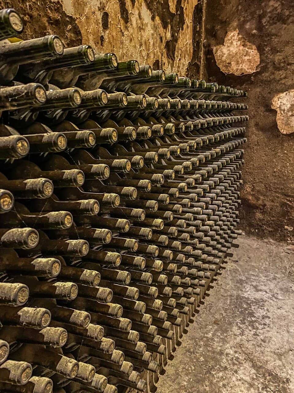 Guided Winery Tour