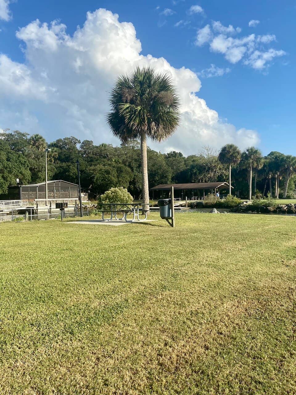 Playground & Shaded Trails