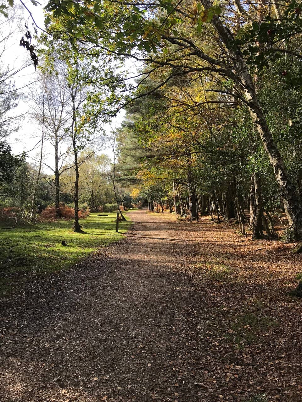 Woodland and Heathland Trails