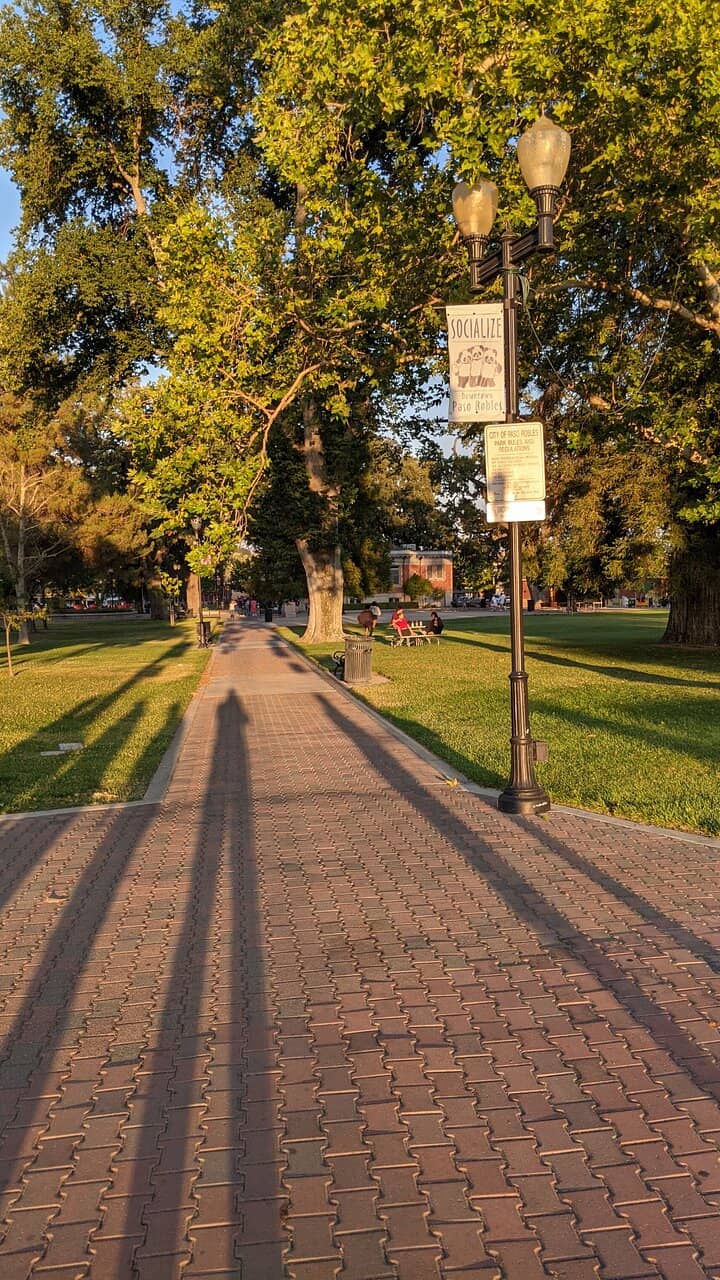 Vibrant Downtown Hub