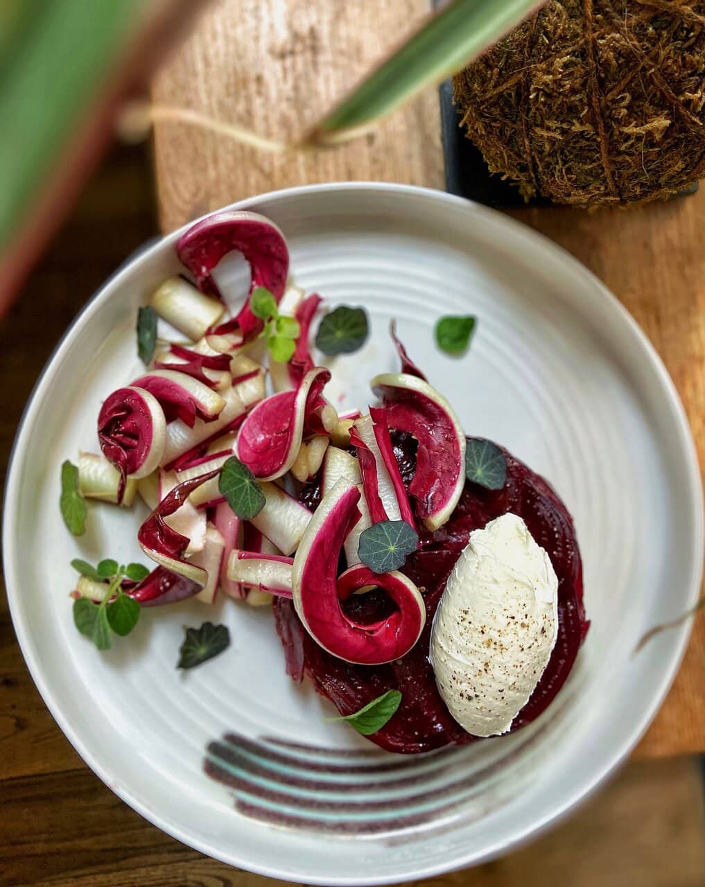 Elegant Garden Ambiance