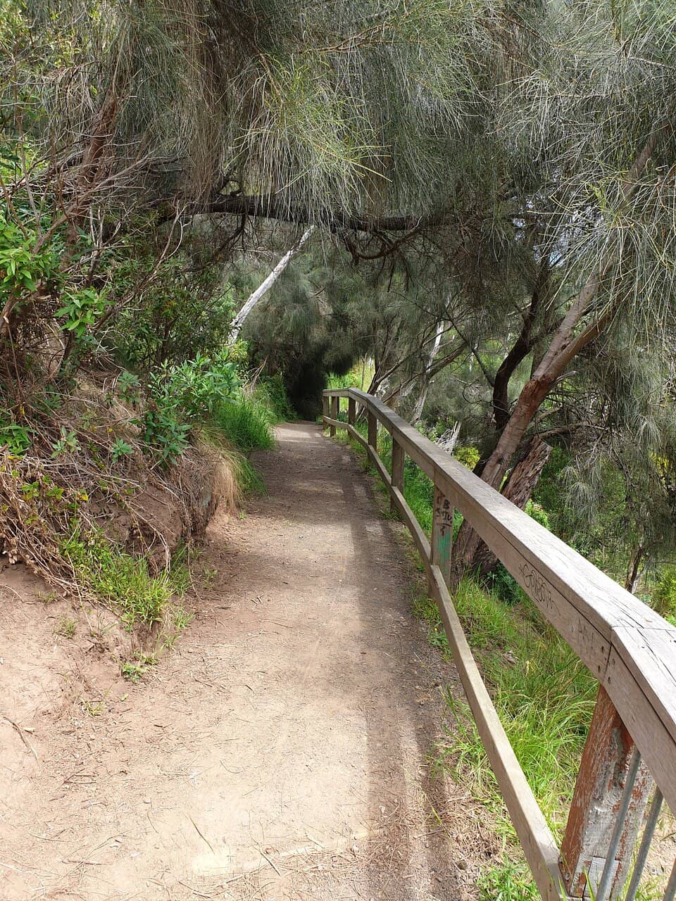 Carisbrook Creek Trail