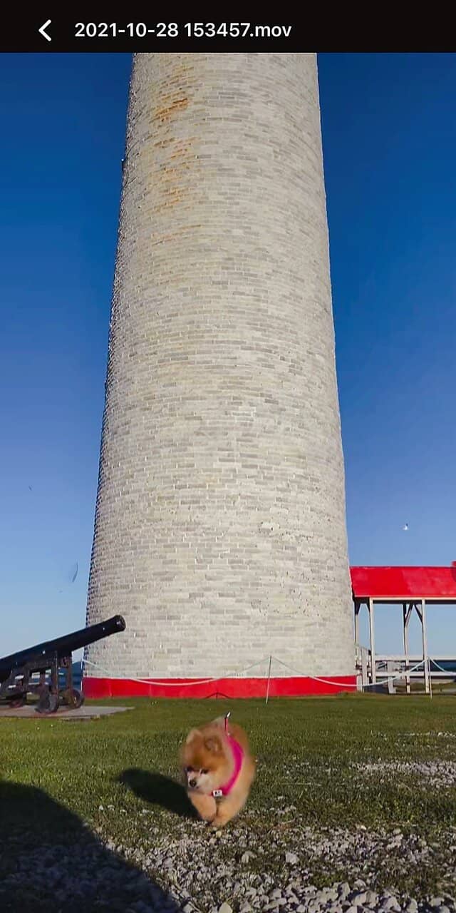 Vertical photo