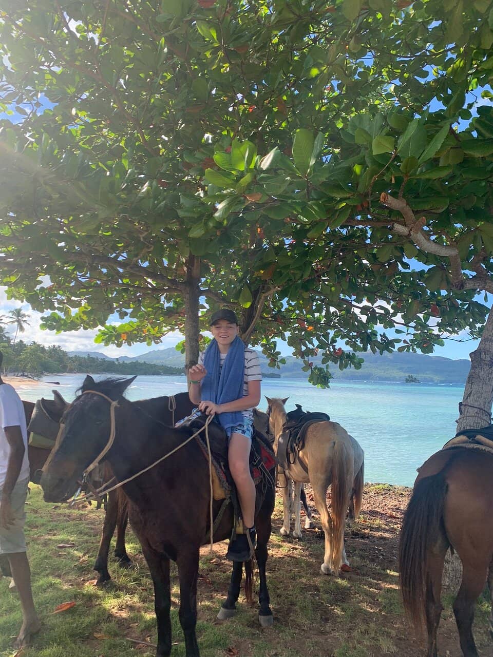 Beachfront Seafood Shacks