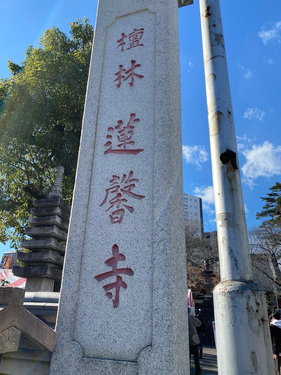 Cherry Blossom Spectacle