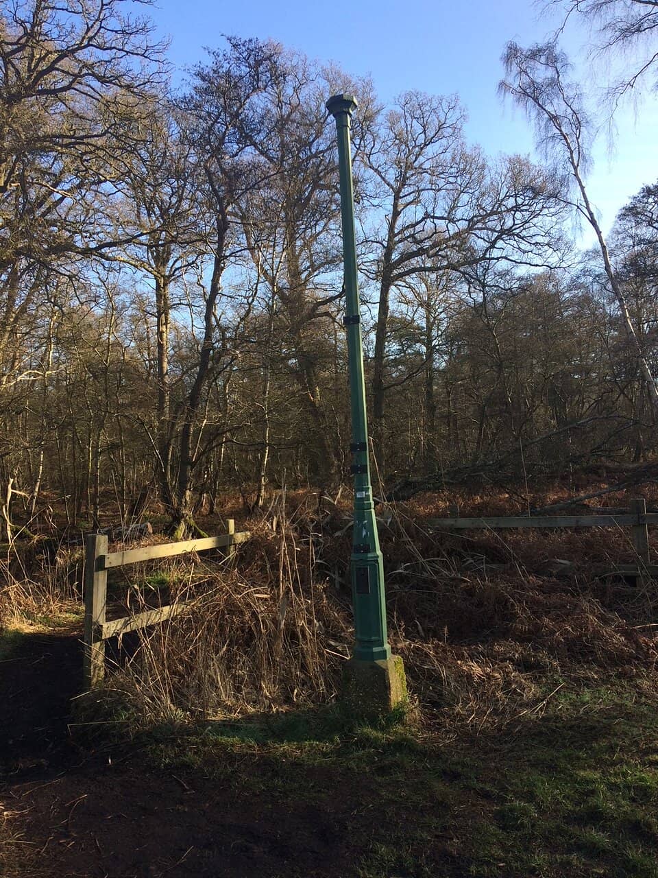 Raised Bog Landscape