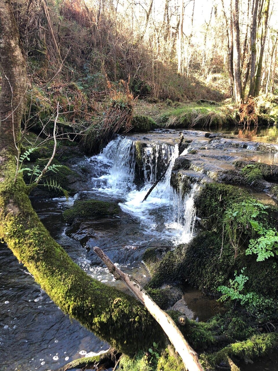Merón Beach San Vicente