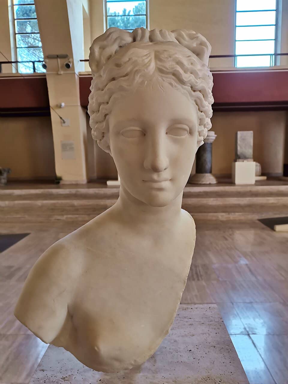 Purpose-Built Museum Architecture