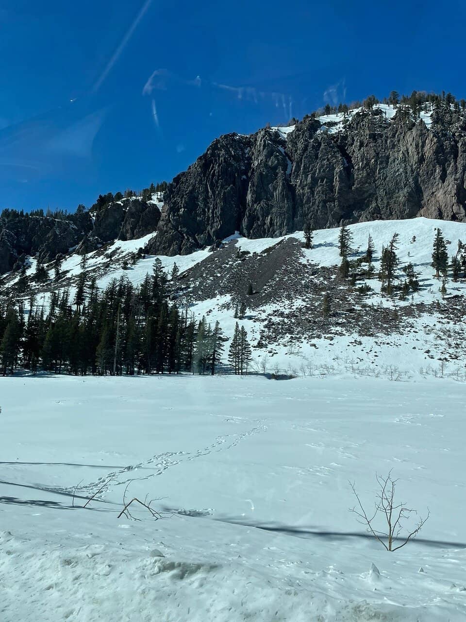 Snowshoeing Adventures