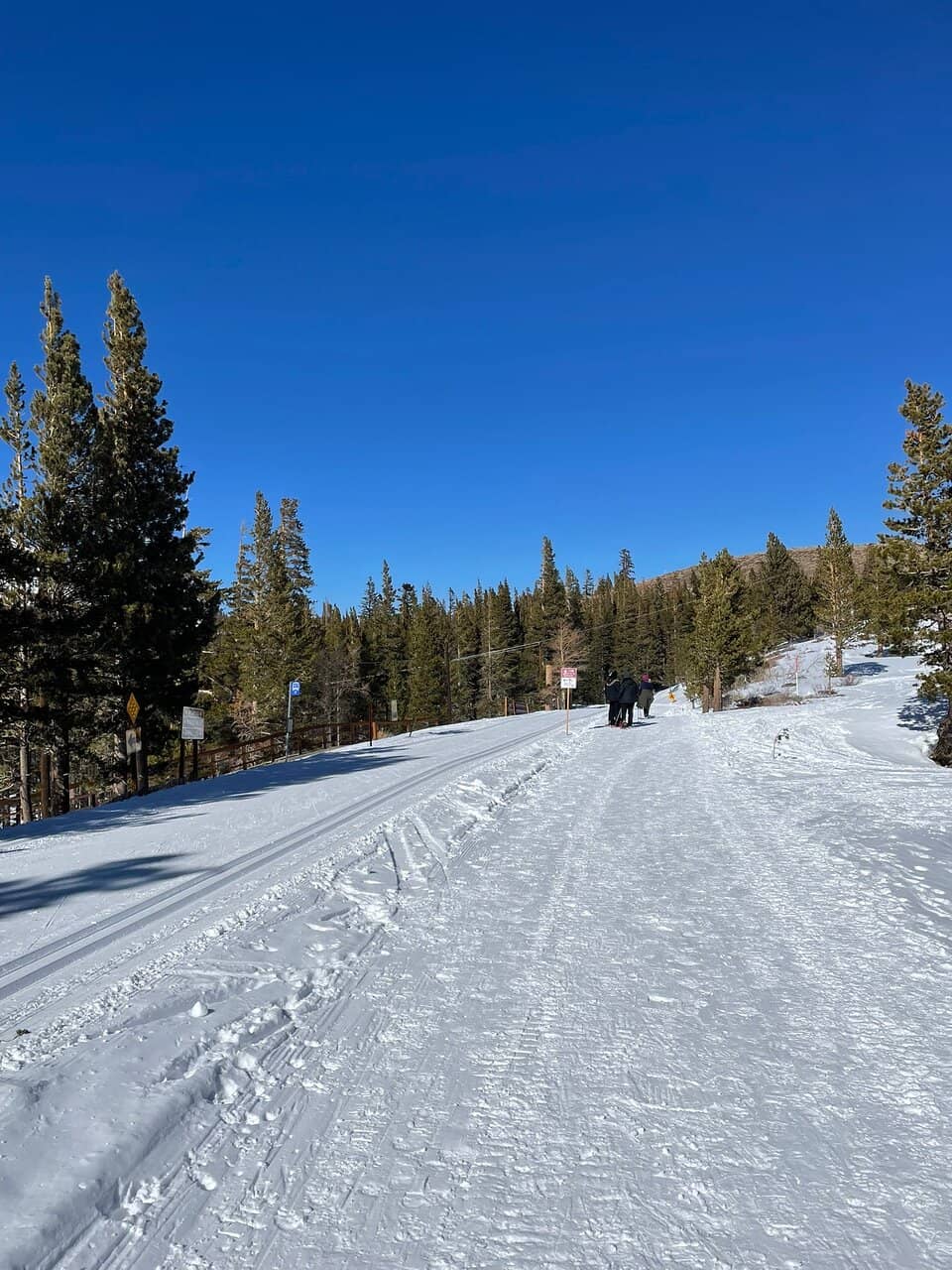 Groomed Cross-Country Trails