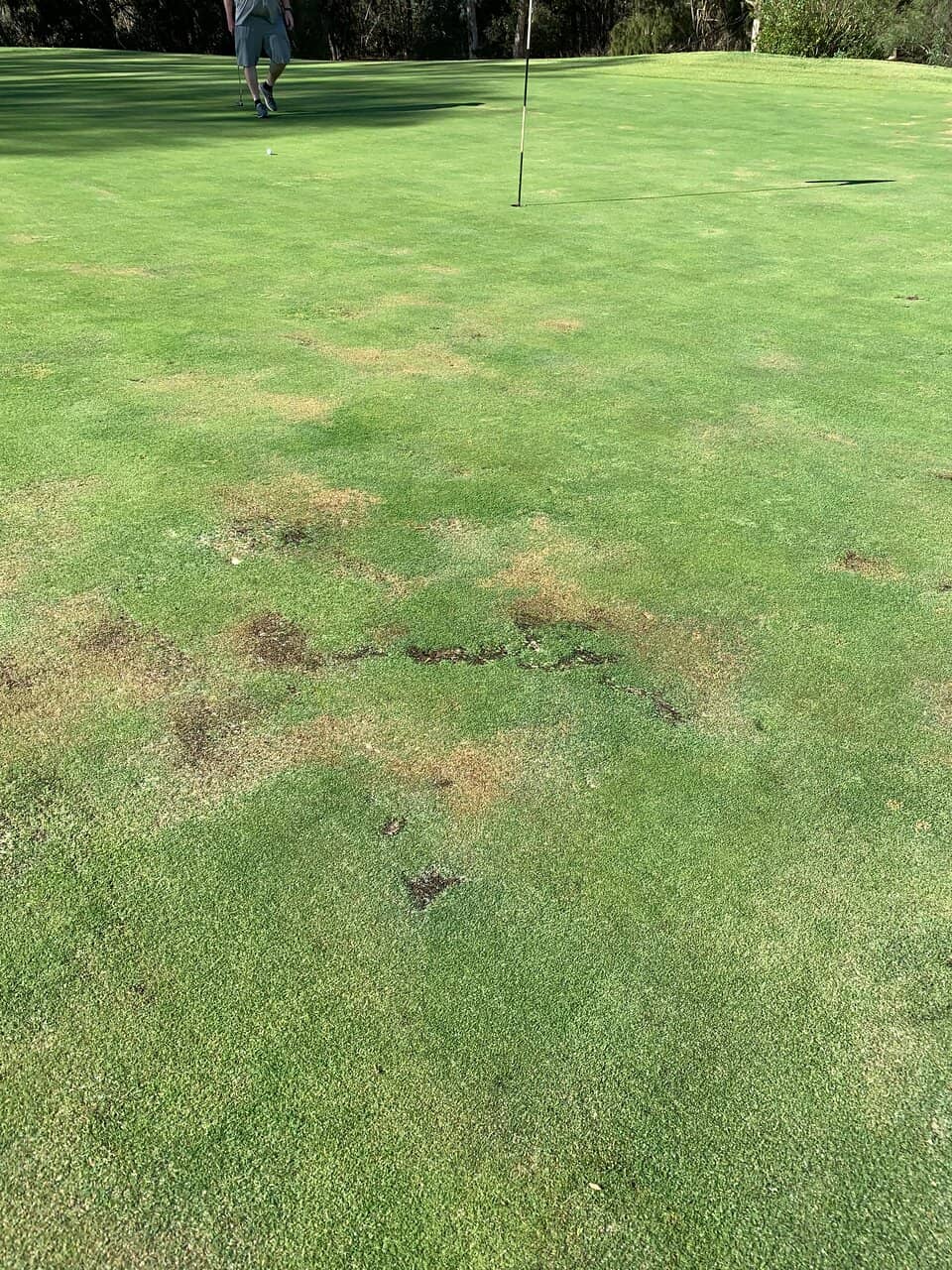 Sir Henry Cotton Trophy