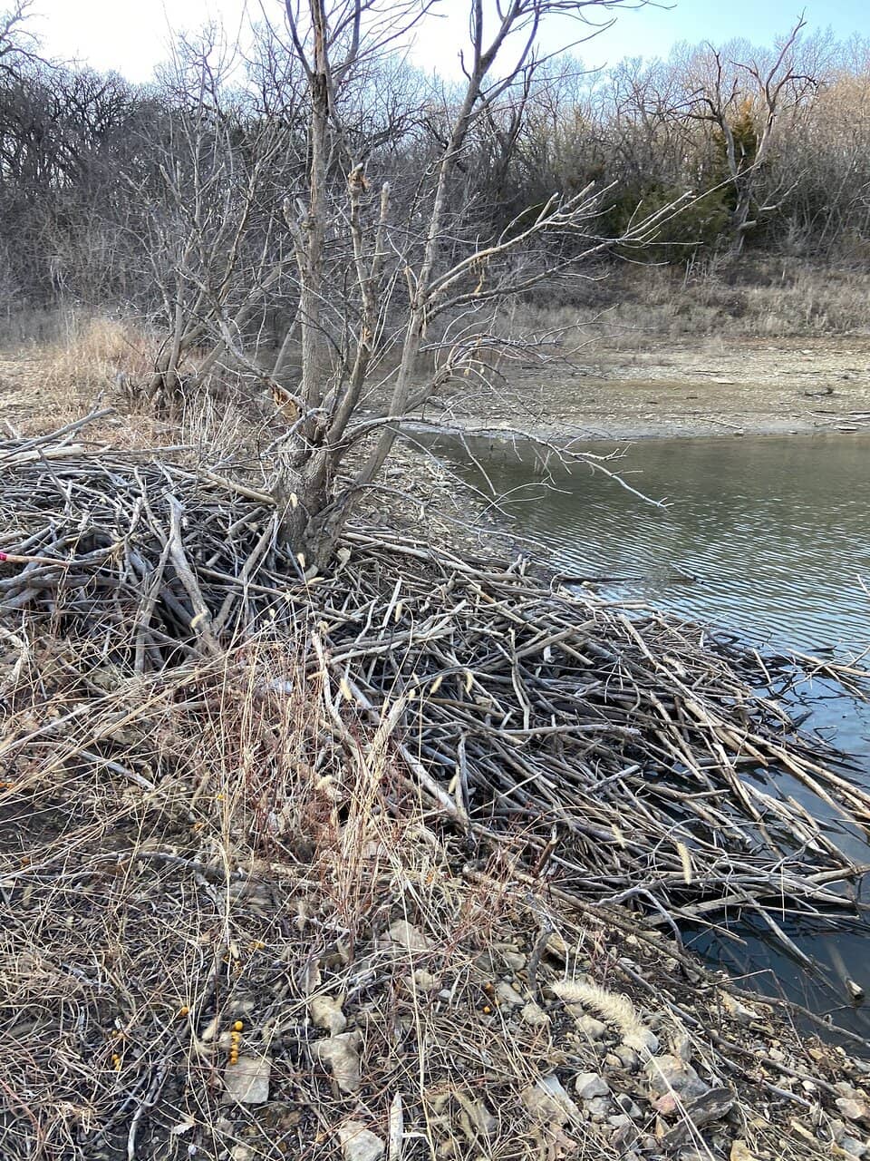 Clinton Marina Kayak Rentals