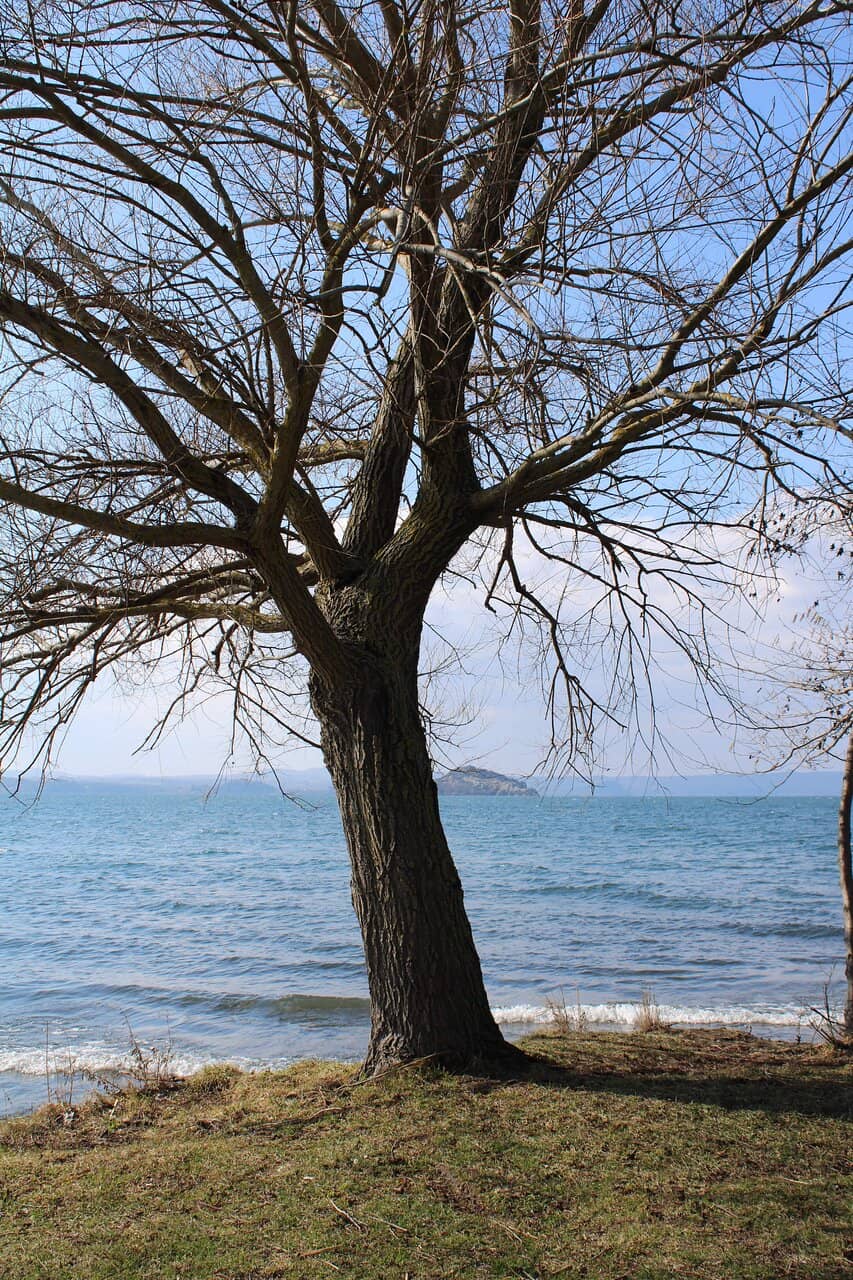 Vertical photo