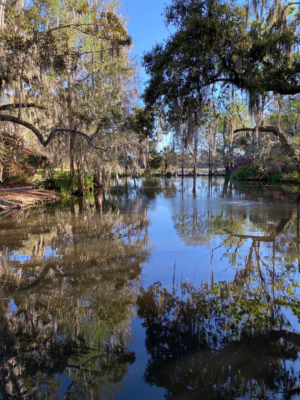 Magnolia Plantation and Gardens