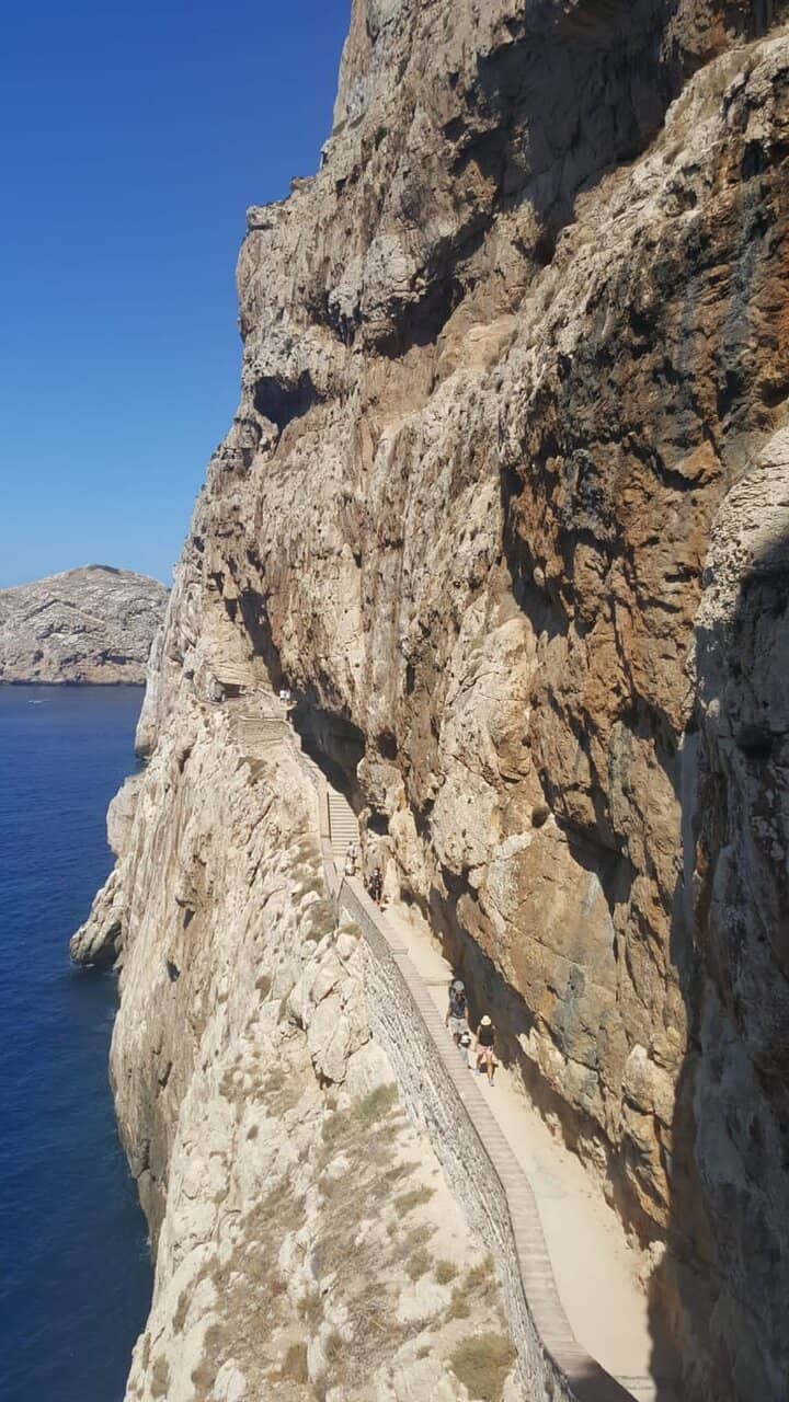 Vertical photo