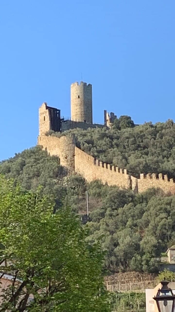 Vertical photo