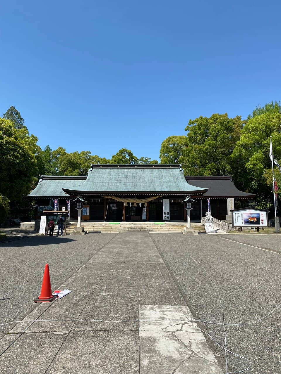 Cherry Blossom Avenue
