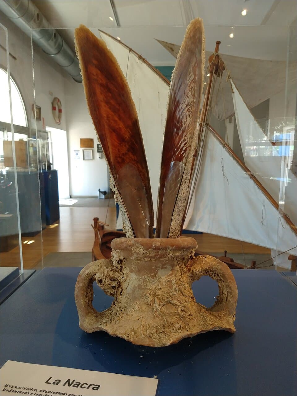 Museu de la Mar (Sea Museum)