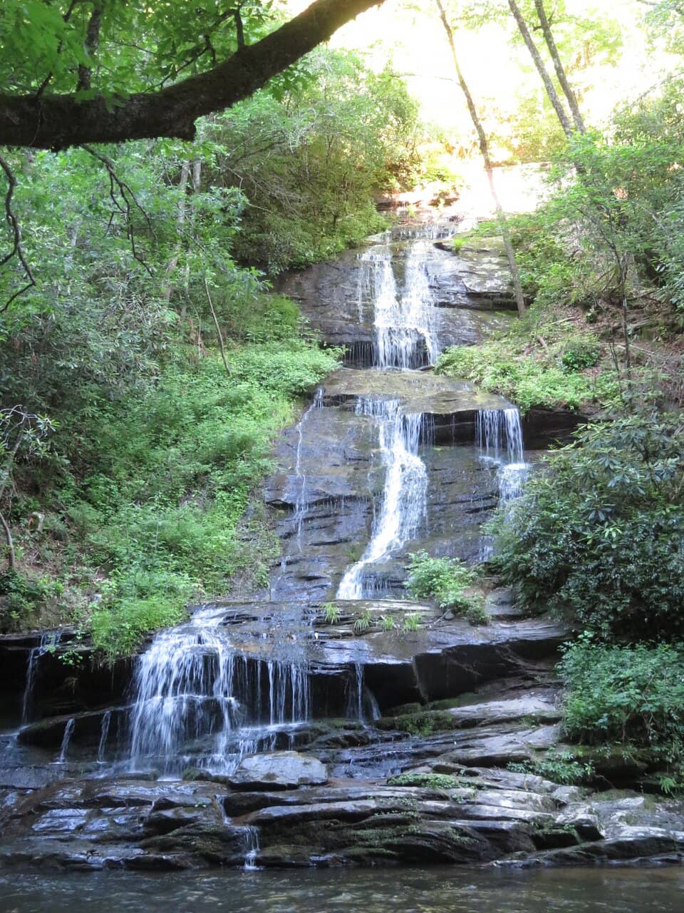Tom Branch Falls