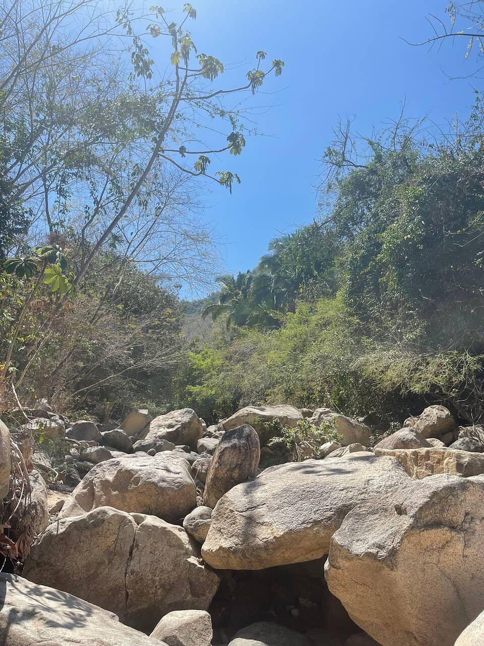 Natural Swimming Pools