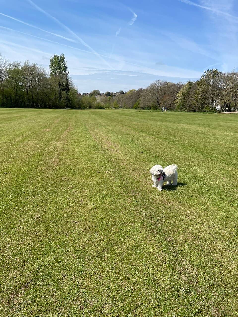 Children's Play Area