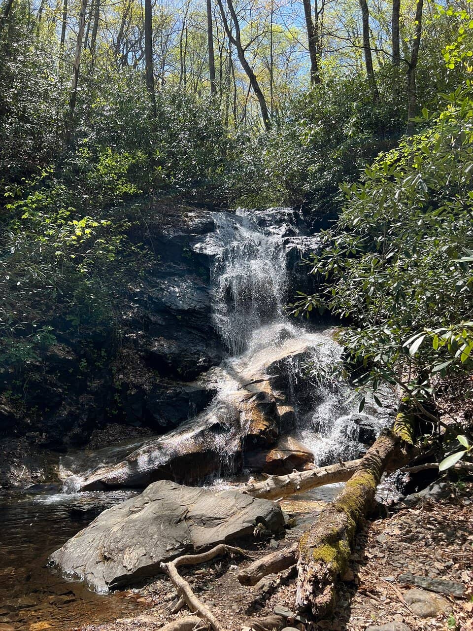 Vertical photo