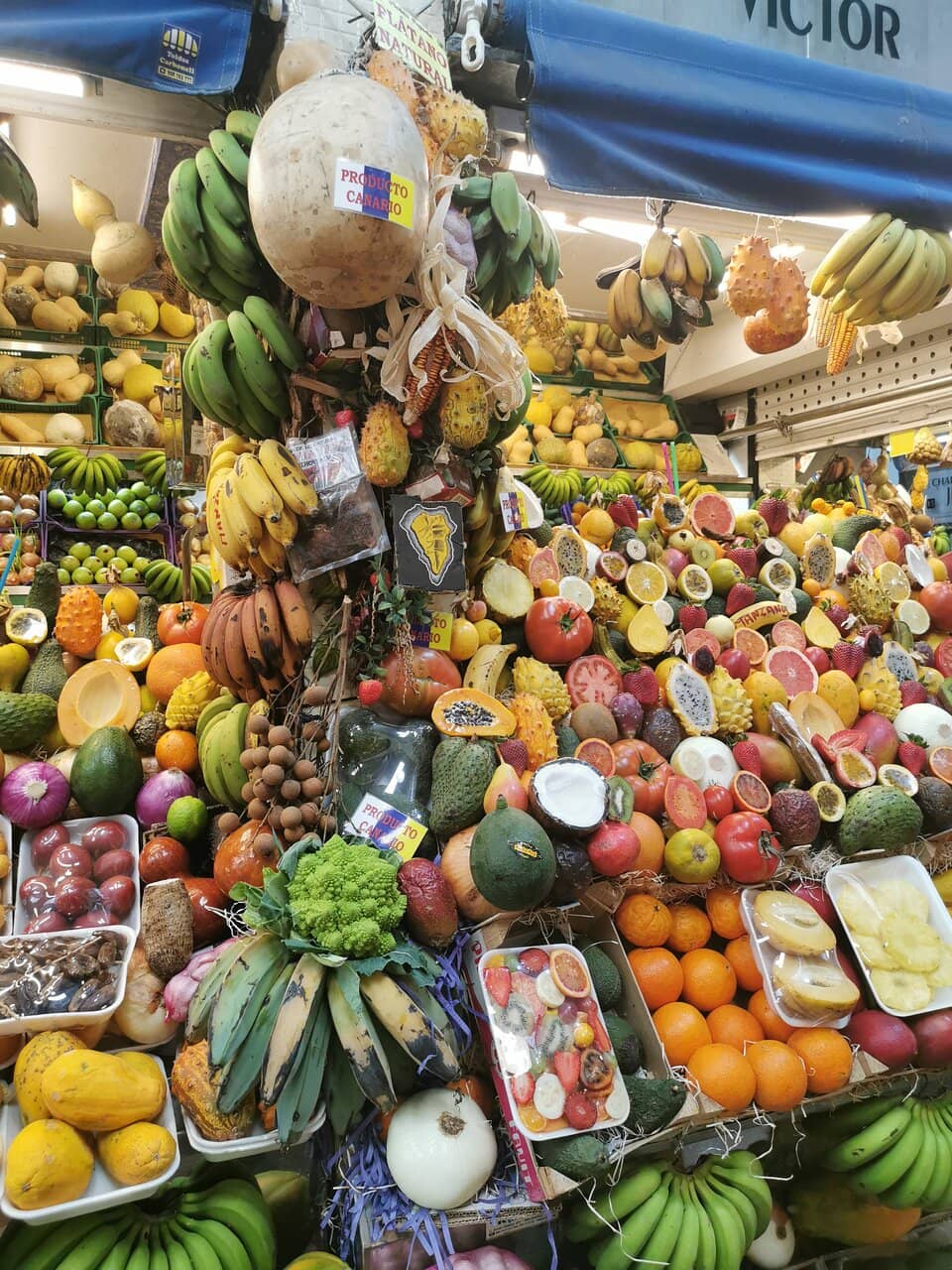 Exotic Tropical Fruits