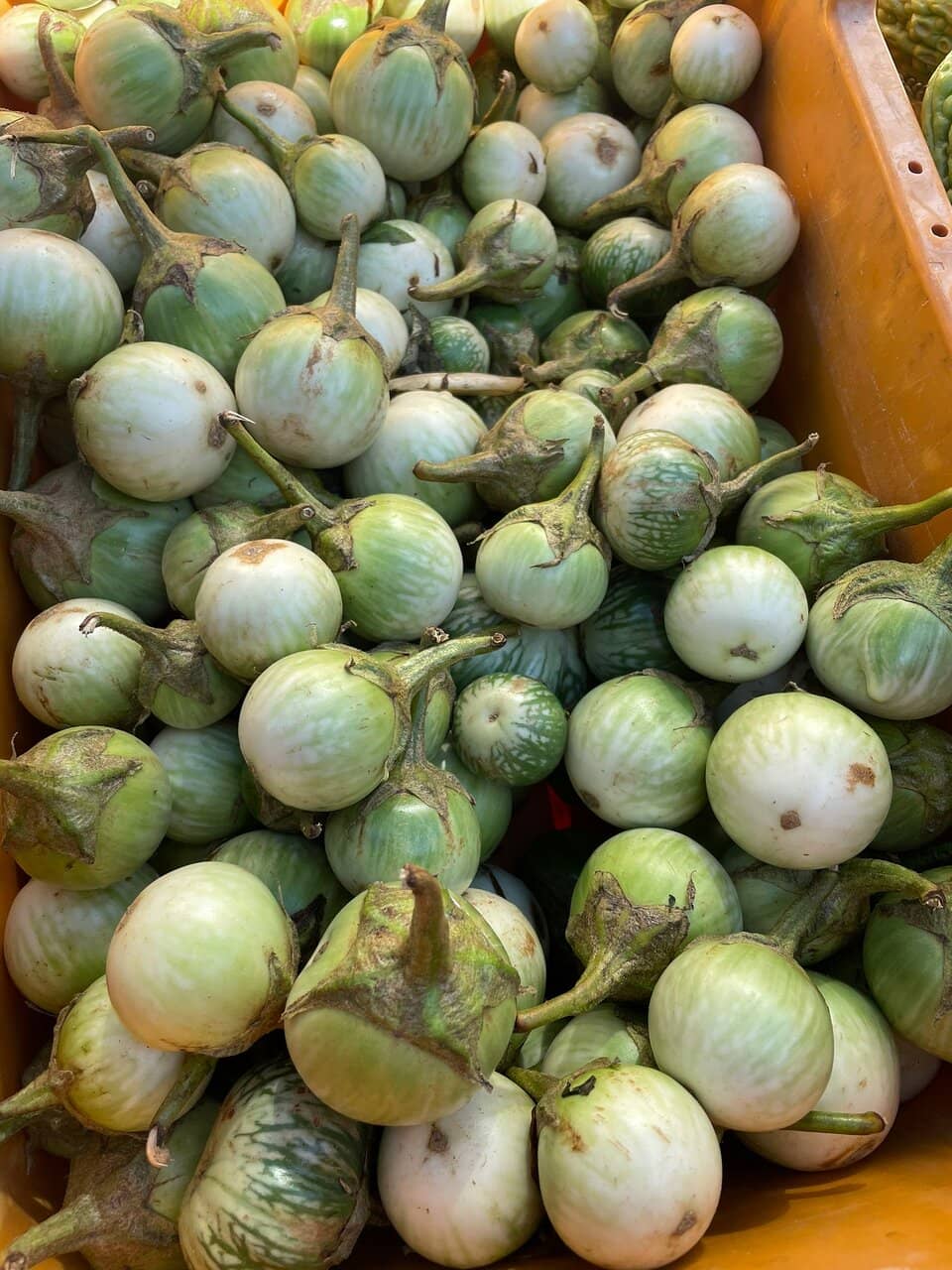 Authentic Asian Street Food