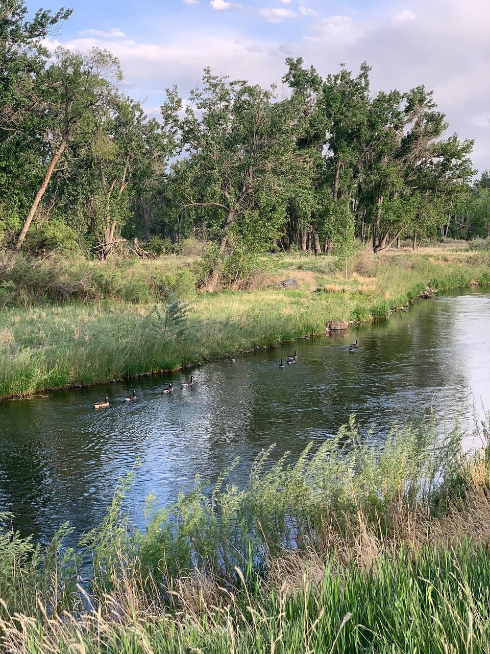 South Platte River Trail