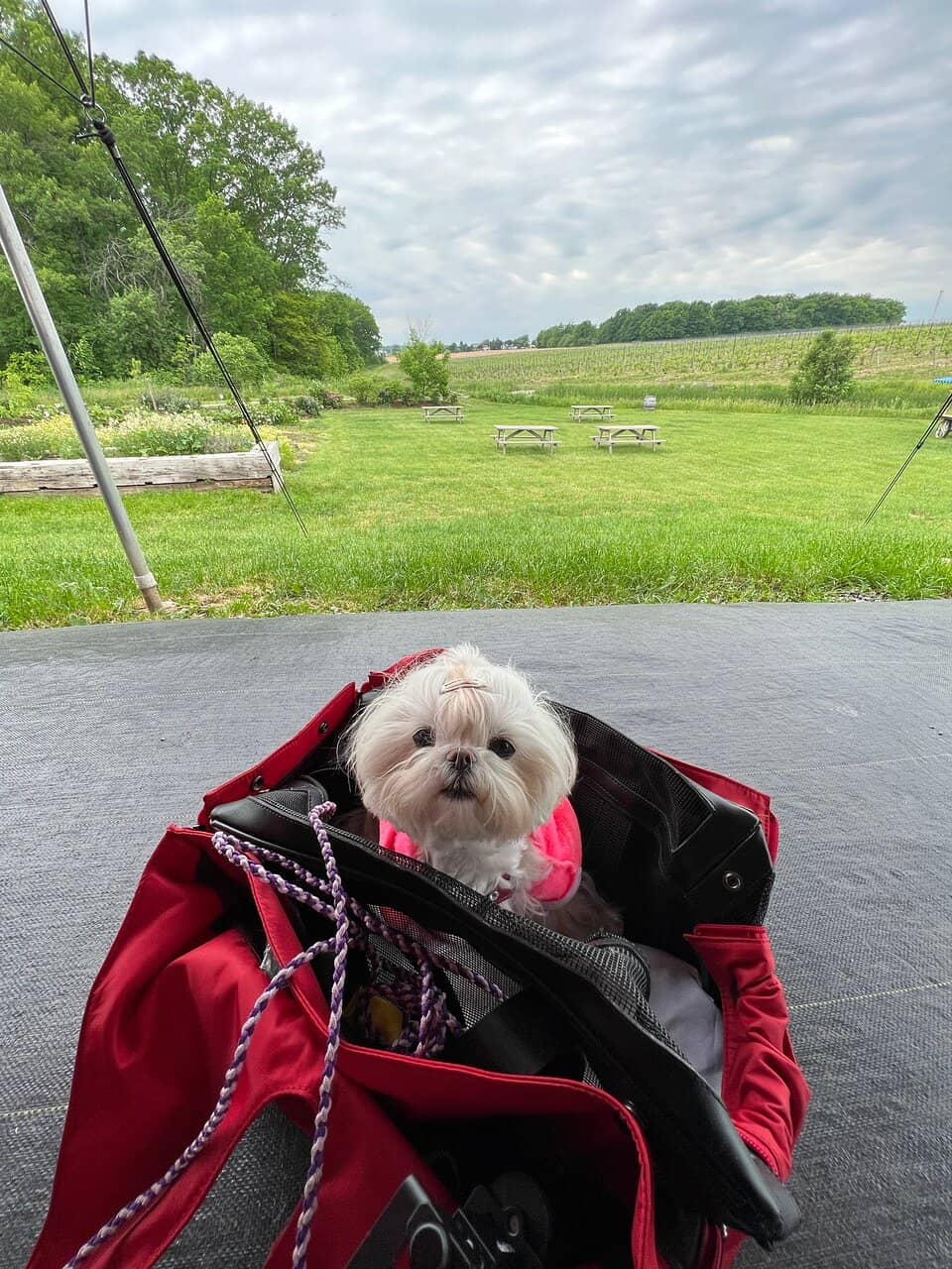 Cozy Tasting Room Ambiance