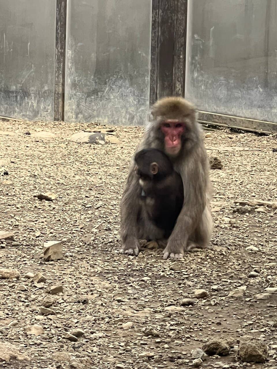 Panoramic Mountain Views