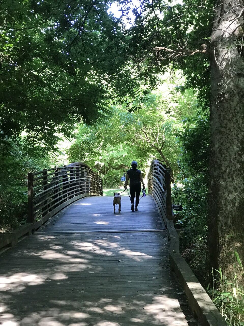 Four Mile Creek Greenway