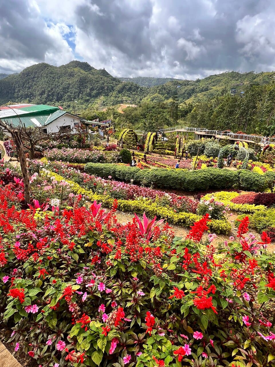 Buwakan ni Alejandra