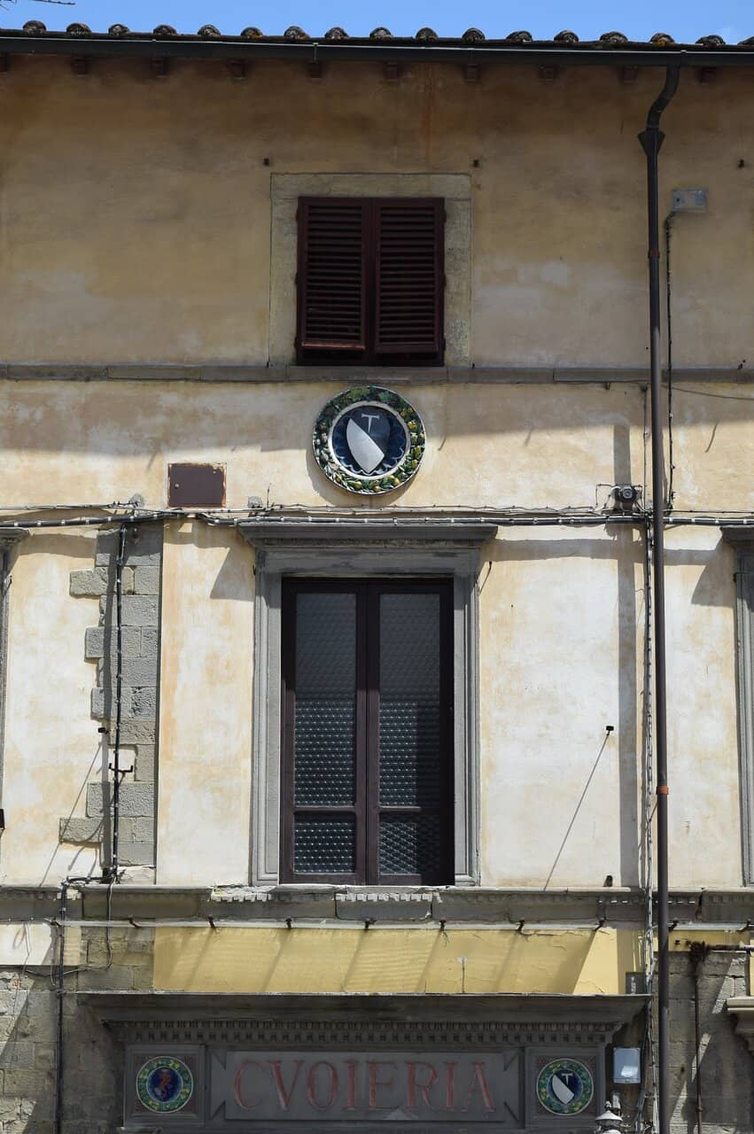 Lush Greenery & New Trees