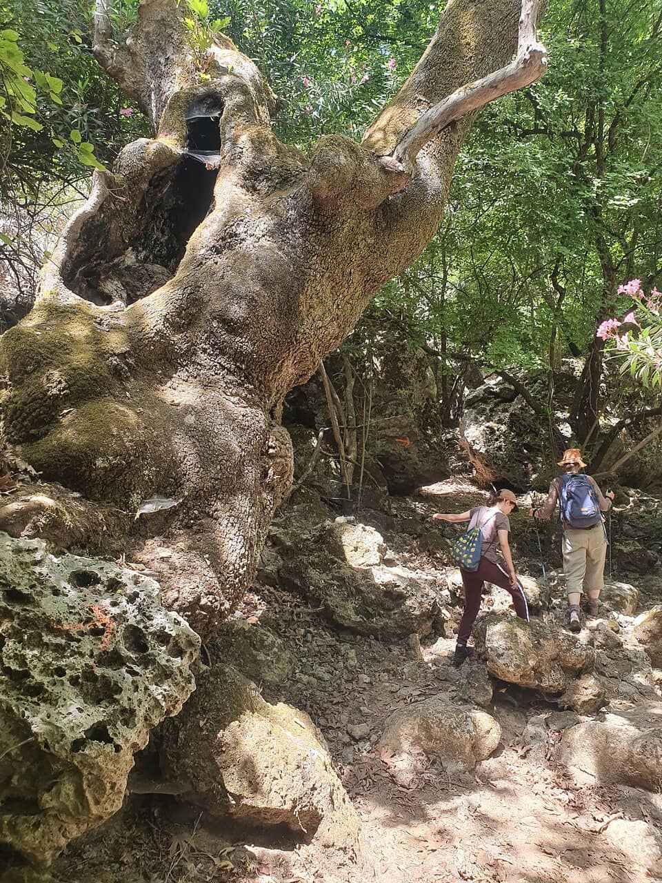 Vertical photo