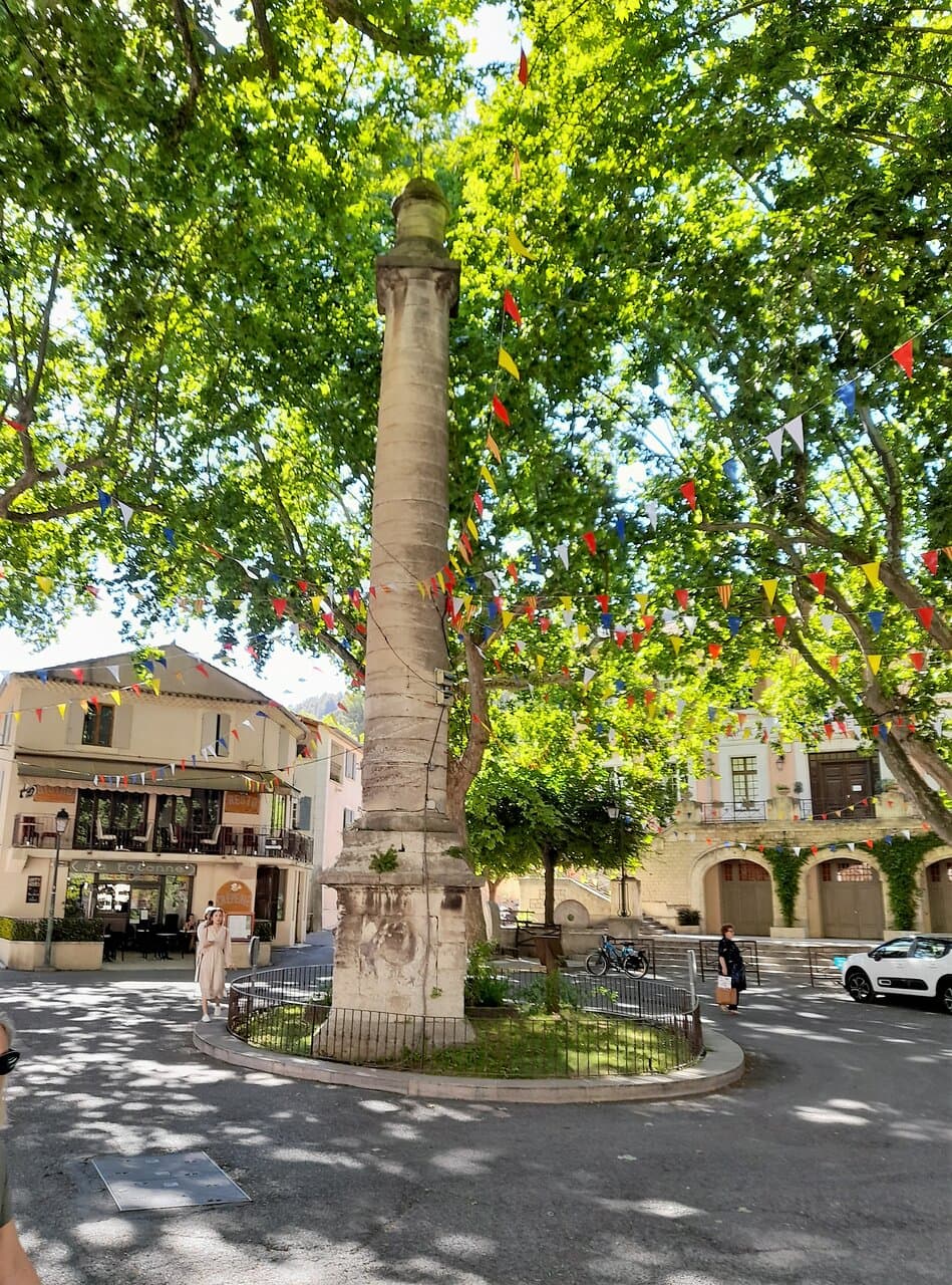 la colonna con il platano