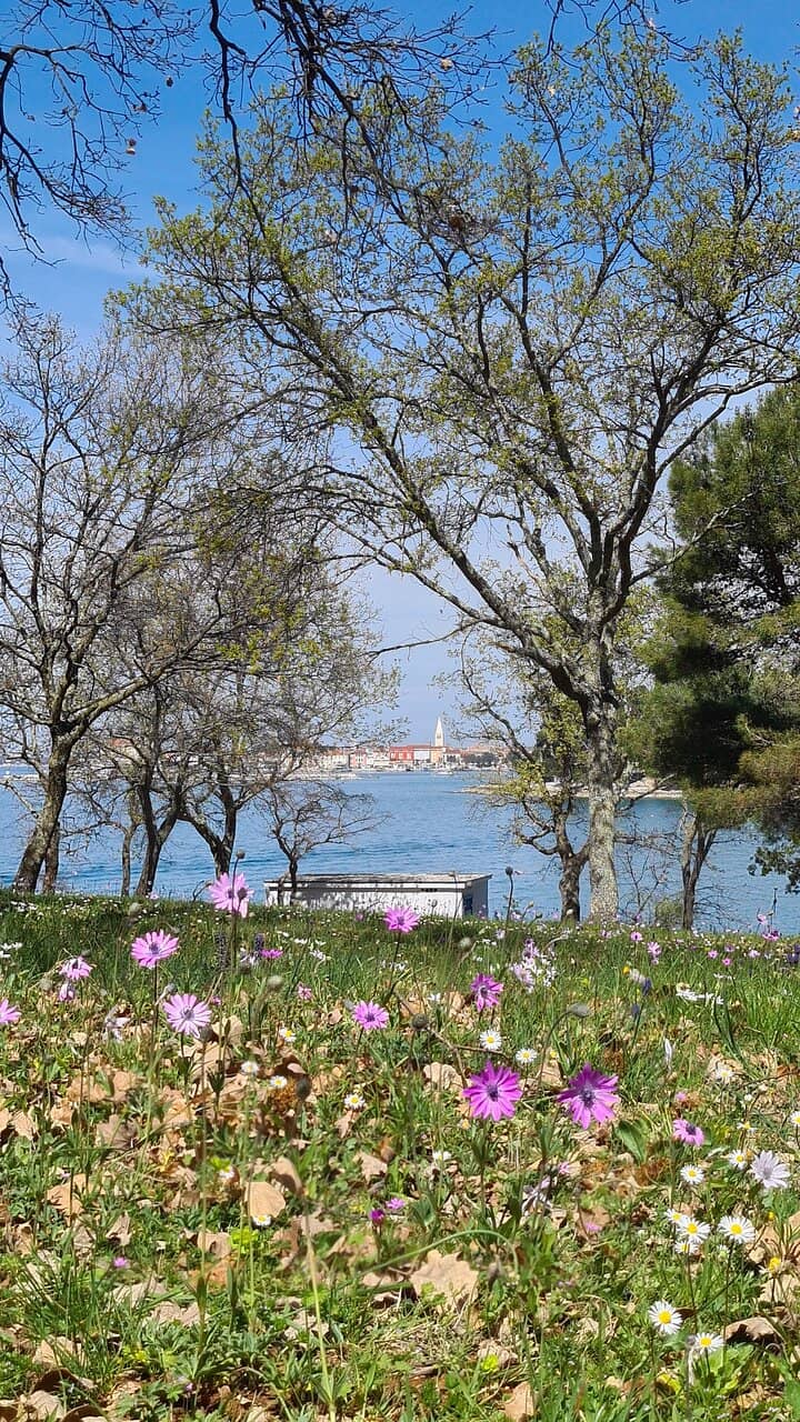 Poreč's Coastal Charm