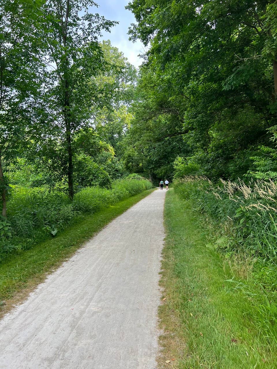 Medication Management Support