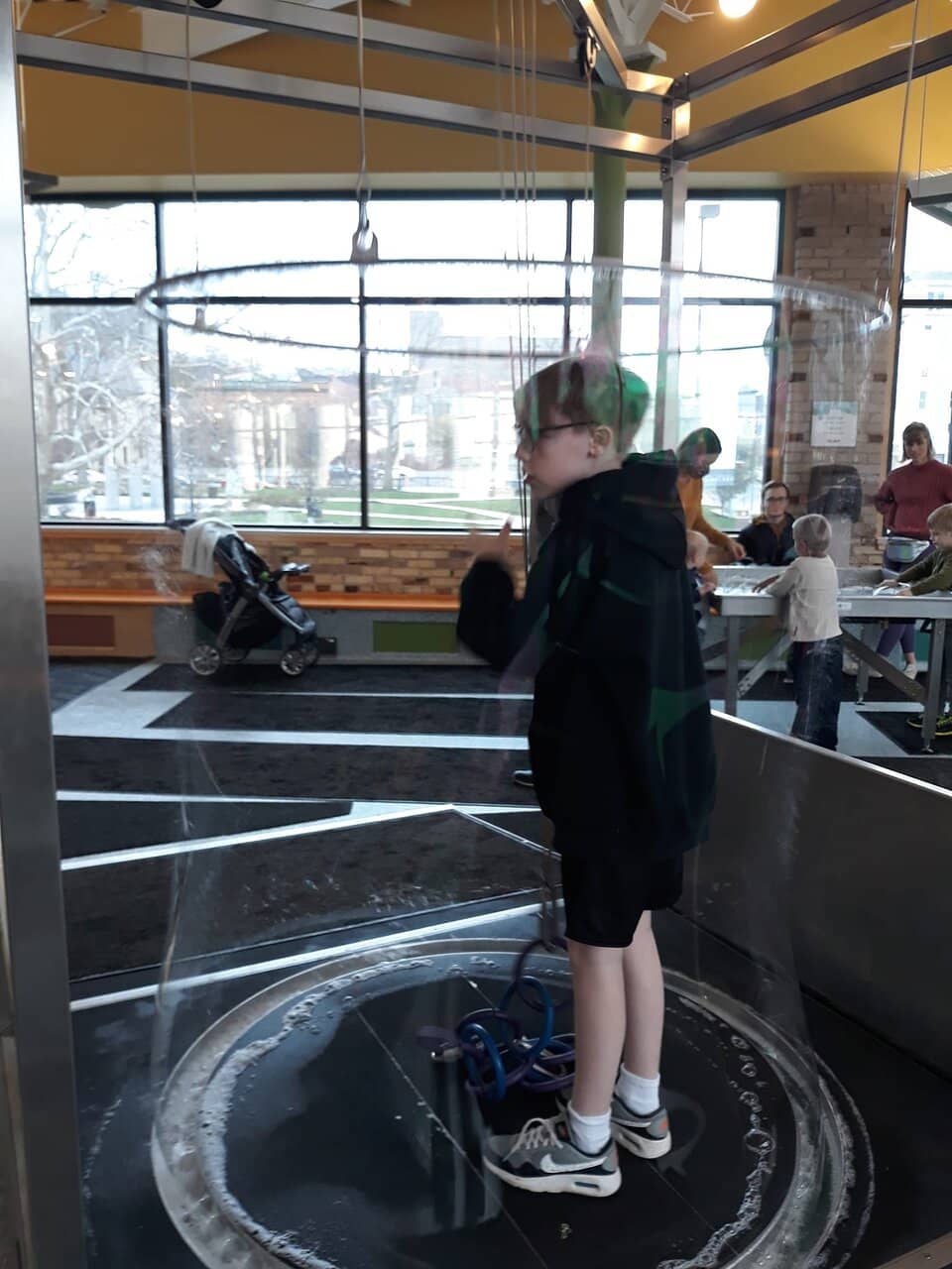 Mo Willems' Pigeon Exhibit