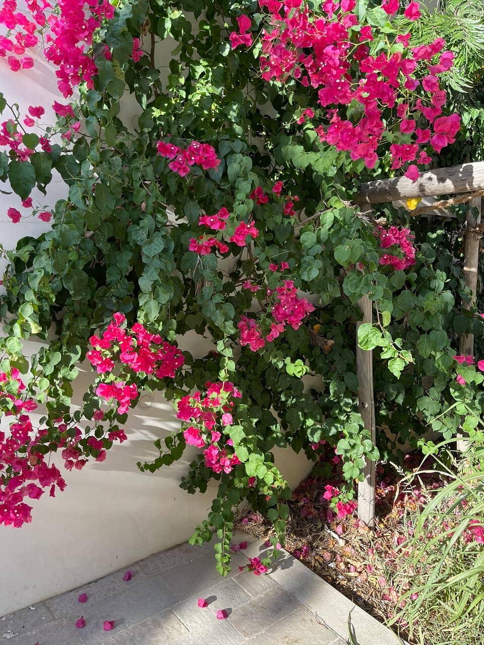 Vertical photo